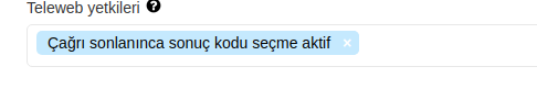 cagrı_code_teleweb_yetki.png